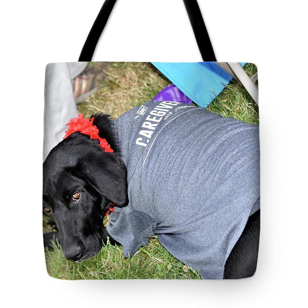  Tote Bag featuring the photograph 1307 by Jerry Sodorff