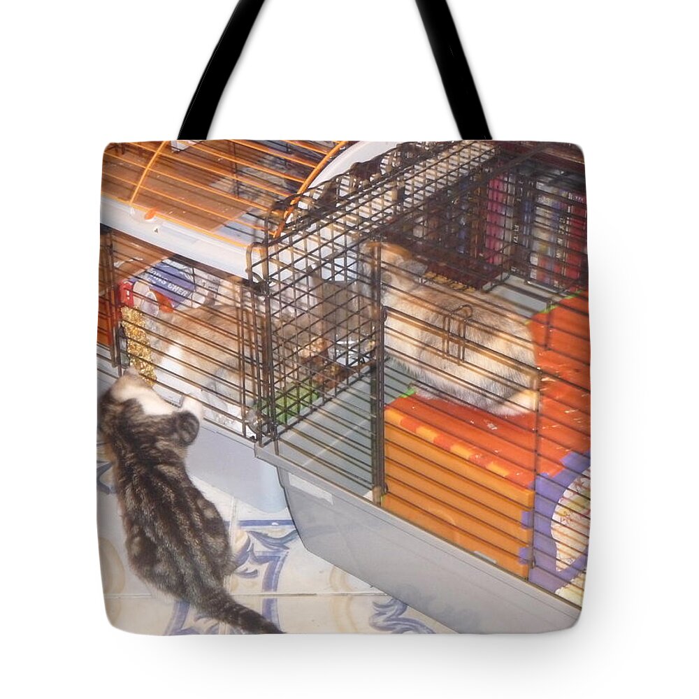 Cat Tote Bag featuring the photograph Cat #139 by Jackie Russo