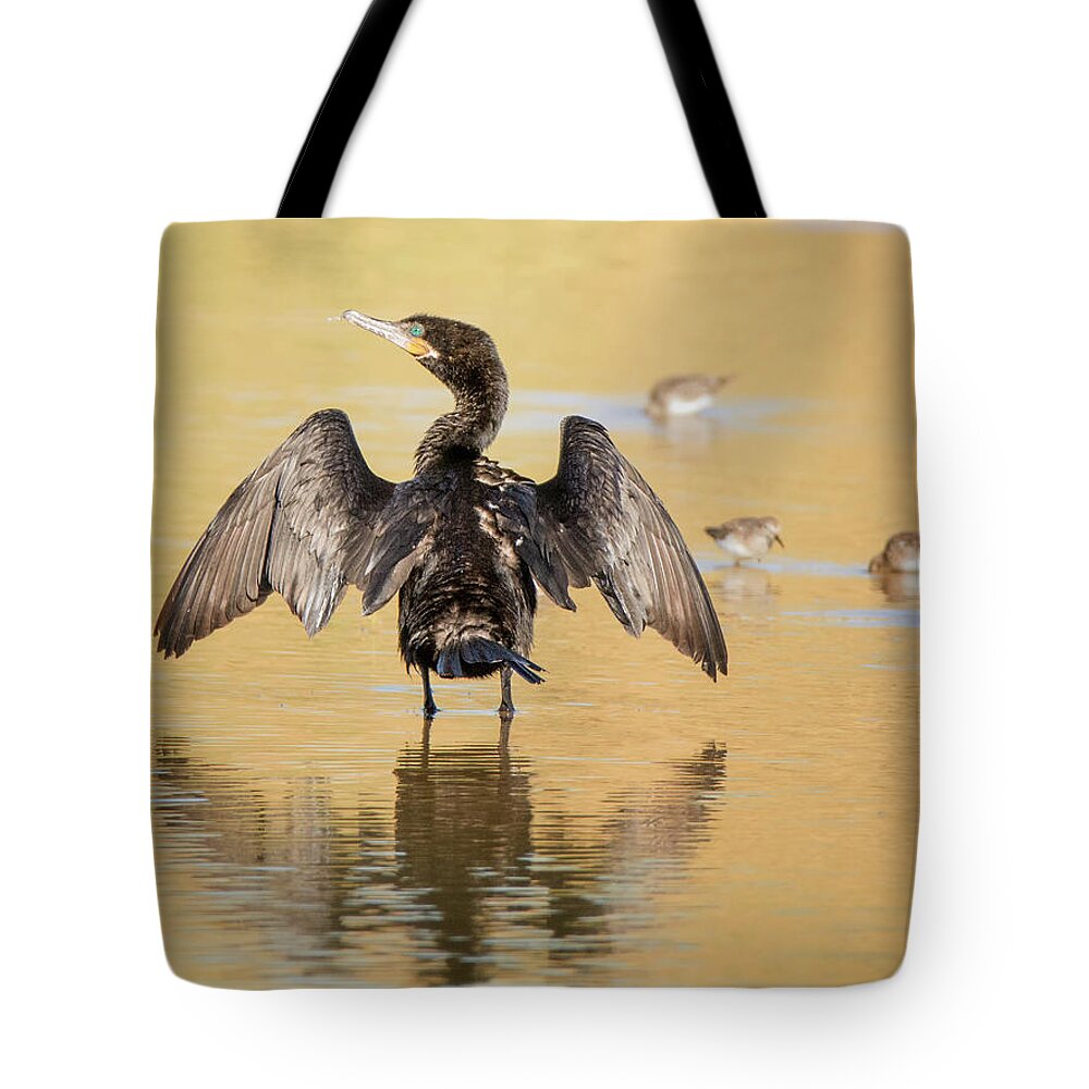 Neotropic Tote Bag featuring the photograph Neotropic Cormorant #14 by Tam Ryan