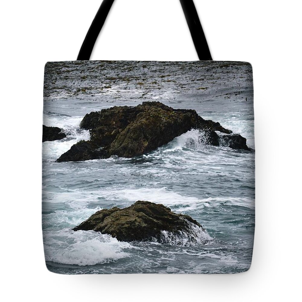 Landscape Tote Bag featuring the photograph On The rocks #14 by Marian Jenkins