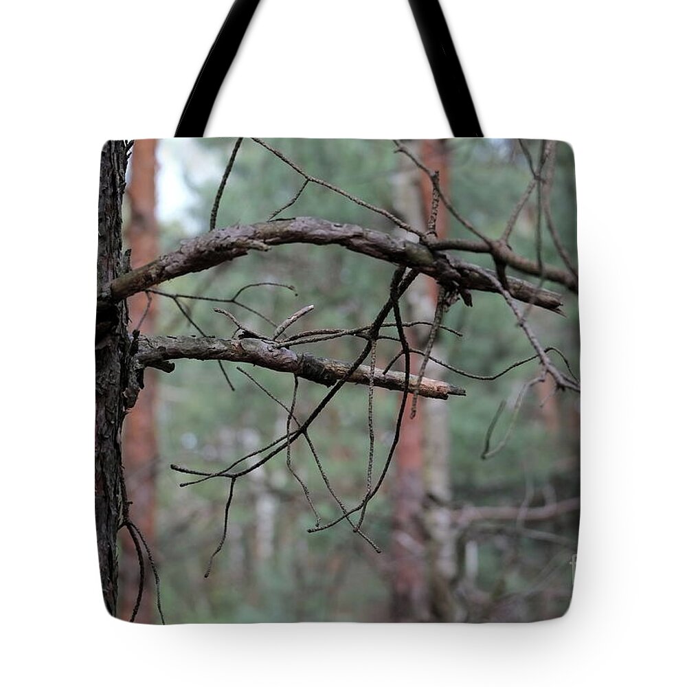 Forest Tote Bag featuring the photograph Pine Twigs #3 by Dariusz Gudowicz