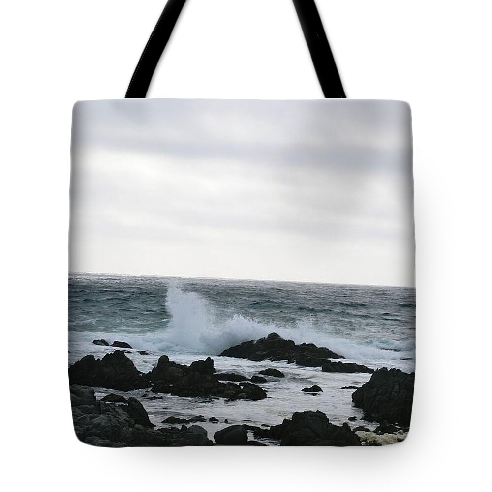 Landscape Tote Bag featuring the photograph On The Rocks #15 by Marian Jenkins