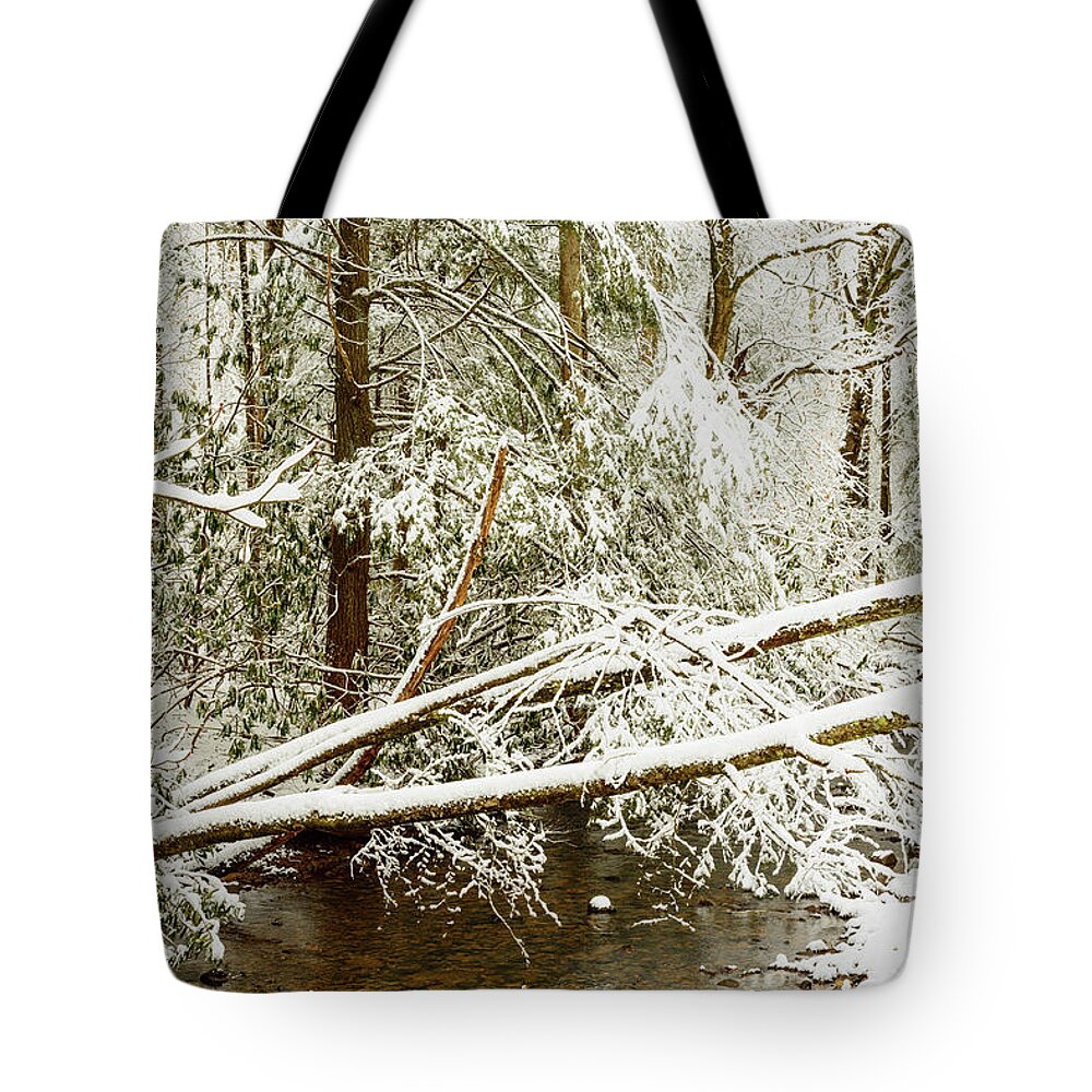 Cranberry River Tote Bag featuring the photograph Winter along Cranberry River #15 by Thomas R Fletcher