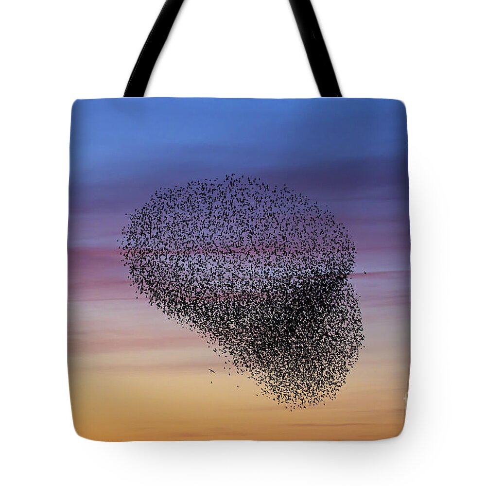 Common Starling Tote Bag featuring the photograph 150501p260 by Arterra Picture Library