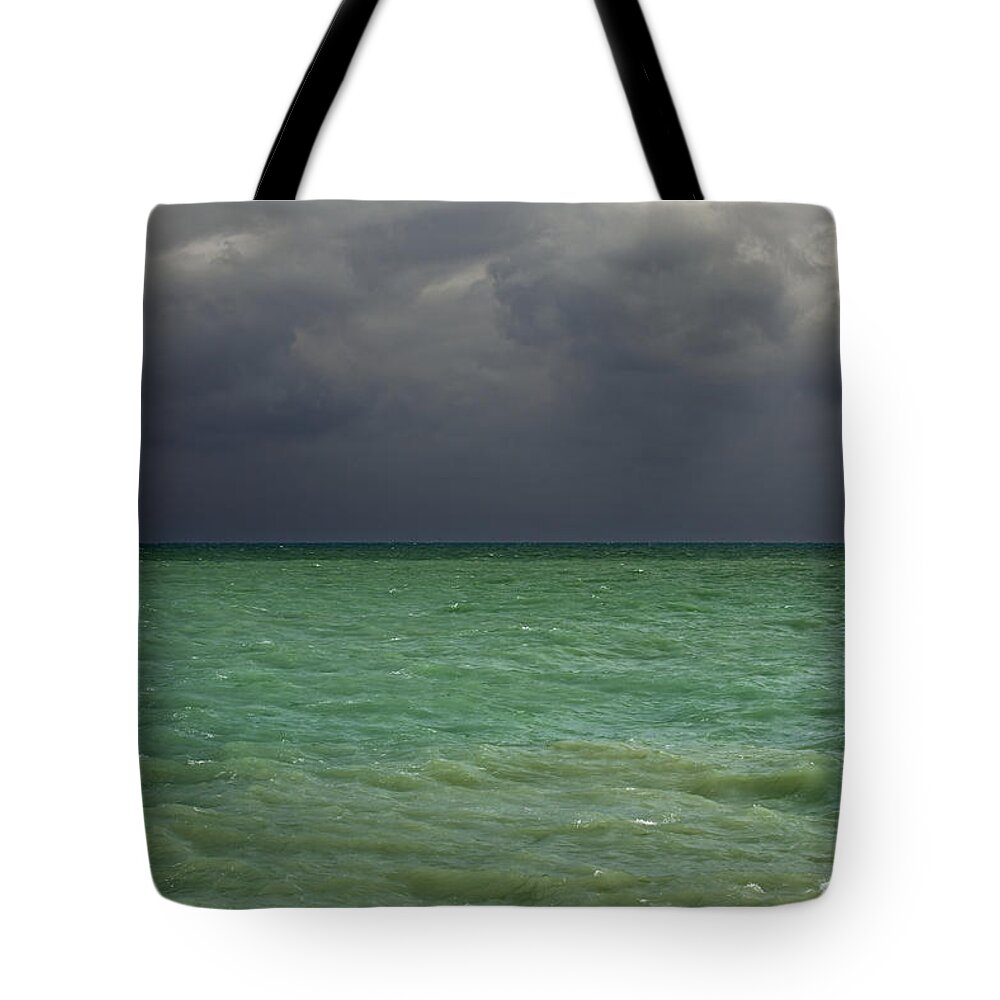 Dark Tote Bag featuring the photograph 151124p222 by Arterra Picture Library