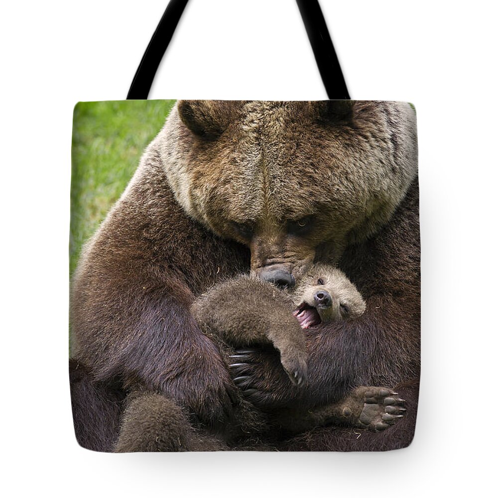 Cute Tote Bag featuring the photograph Mother bear cuddling cub by Arterra Picture Library