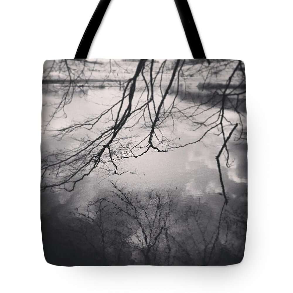  Tote Bag featuring the photograph Instagram Photo #151440418633 by Mandy Tabatt