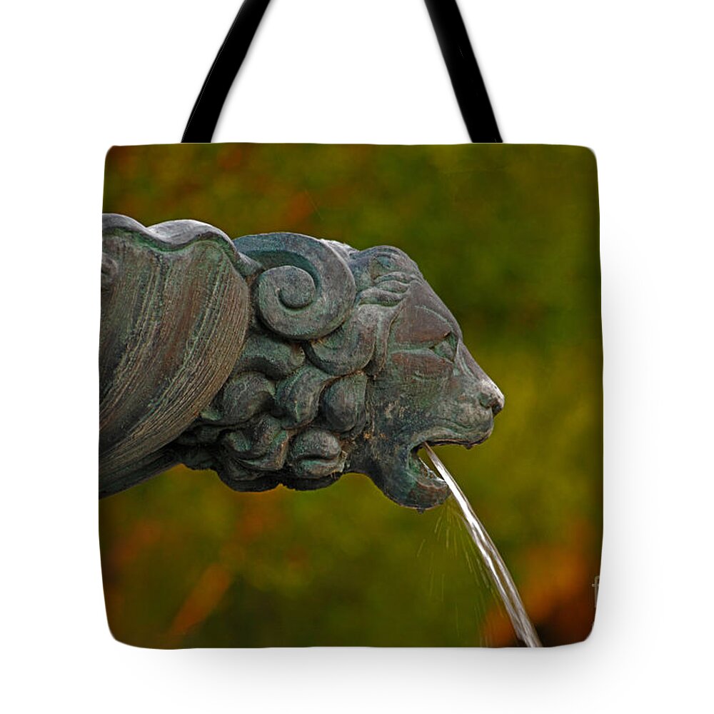 Fountain Tote Bag featuring the photograph 16- Fountain by Joseph Keane