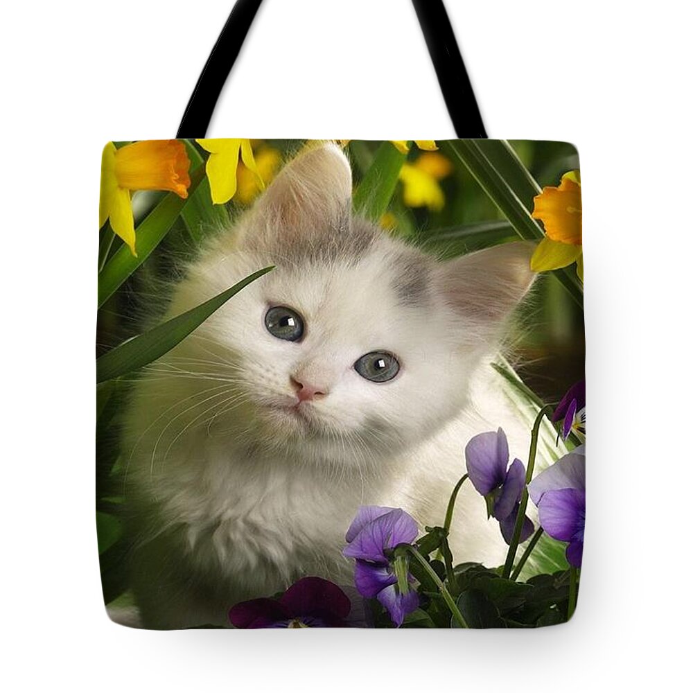 Cat Tote Bag featuring the photograph Cat #17 by Jackie Russo