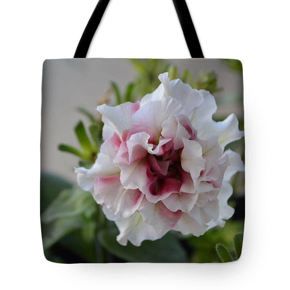 Flower Tote Bag featuring the photograph Flower #18 by Mariel Mcmeeking