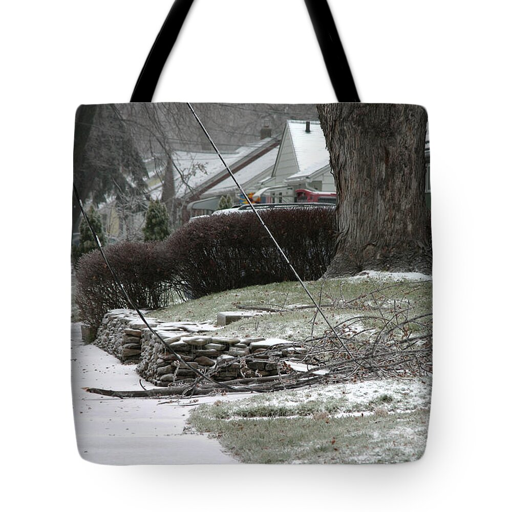 Ice Storm Tote Bag featuring the photograph Ice Storm #18 by Ted Kinsman