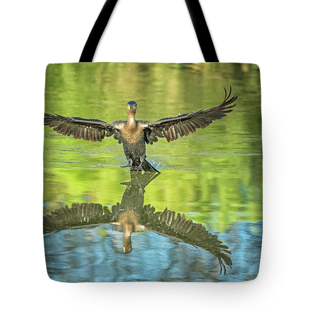 Neotropic Tote Bag featuring the photograph Neotropic Cormorant #18 by Tam Ryan