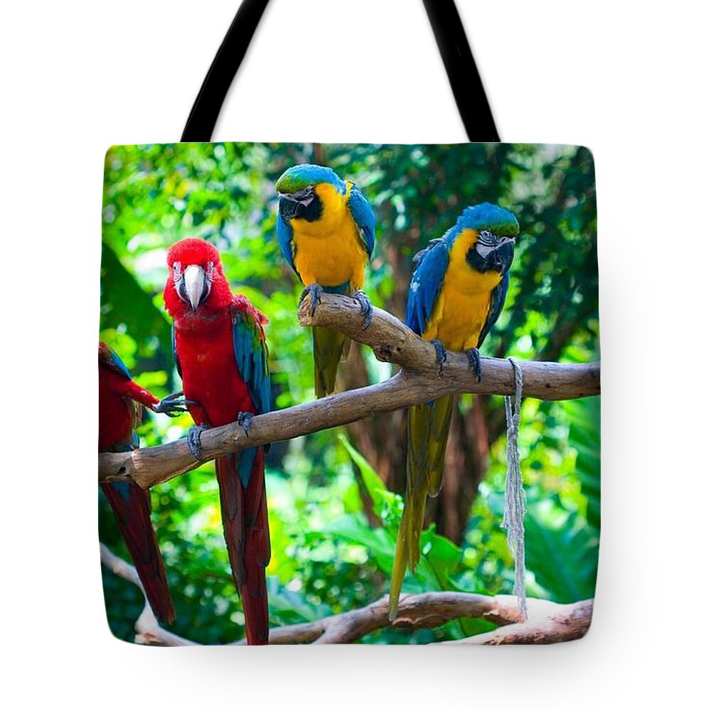 Parrot Tote Bag featuring the photograph Parrot #18 by Jackie Russo