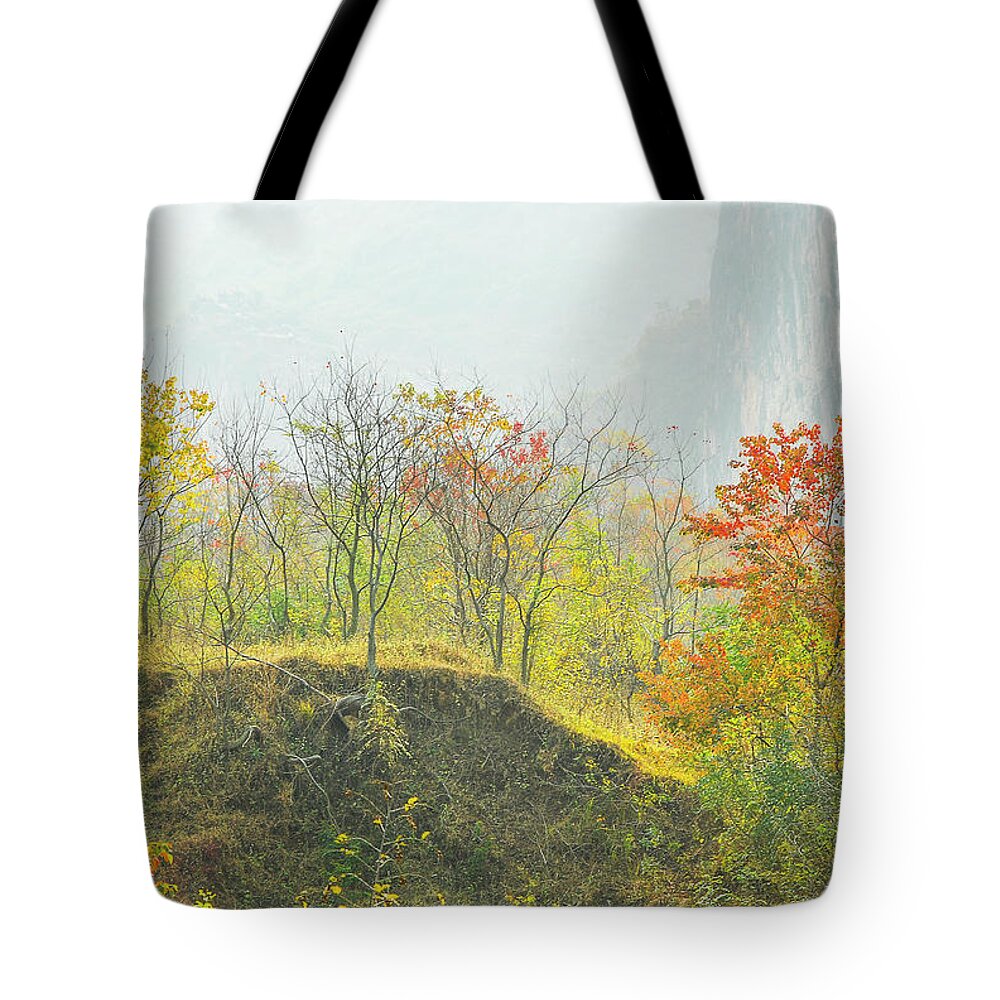 Red Tote Bag featuring the photograph The colorful autumn scenery #18 by Carl Ning