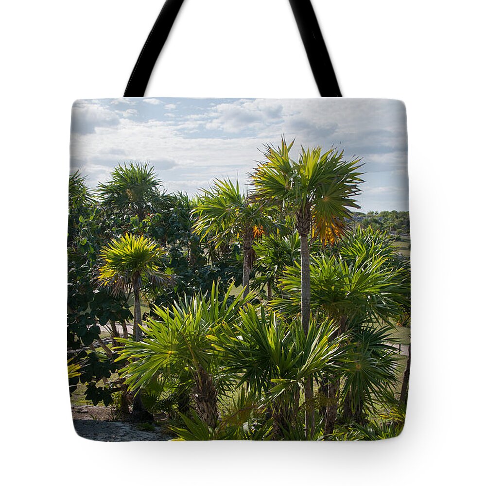 Mexico Quintana Roo Tote Bag featuring the digital art Tulum Ruins #18 by Carol Ailles