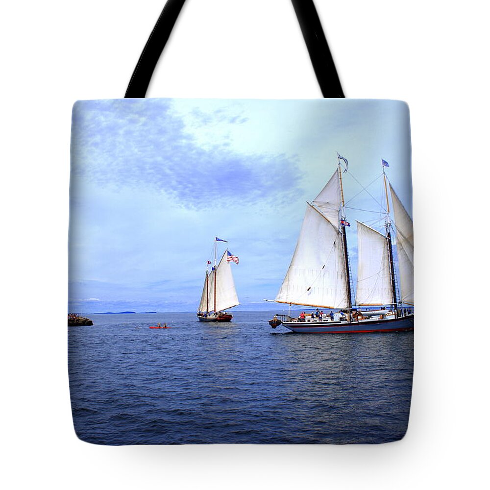 Seascape Tote Bag featuring the photograph 1871 Lewis R French by Doug Mills