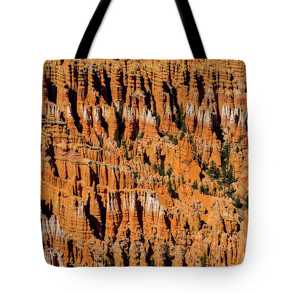 Bryce Canyon Tote Bag featuring the photograph Bryce Canyon Utah #19 by Raul Rodriguez