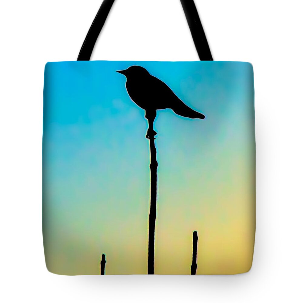  Tote Bag featuring the photograph Worlds End #19 by David Henningsen