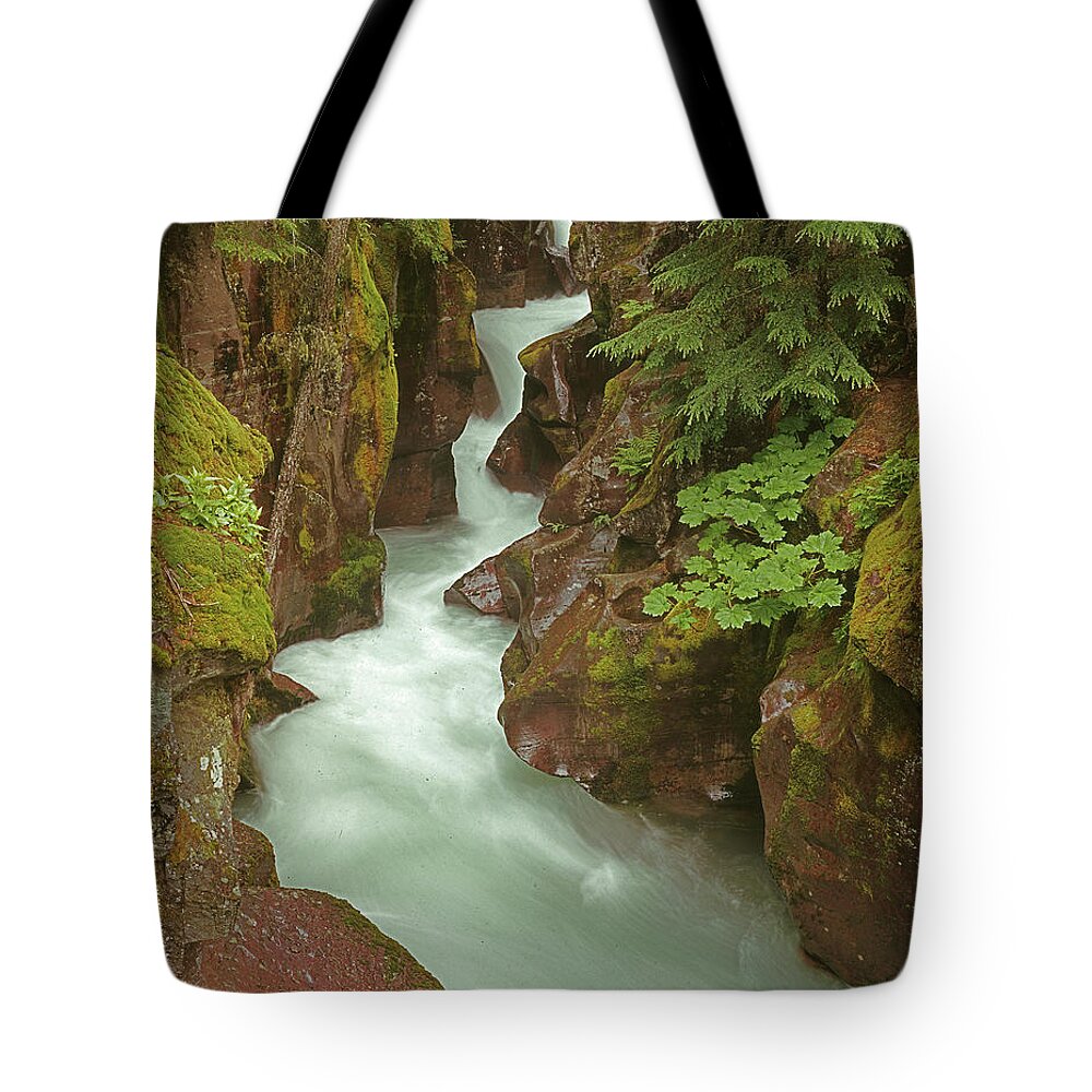 1m8115 Tote Bag featuring the photograph 1M8115 Avalanche Gorge MT by Ed Cooper Photography