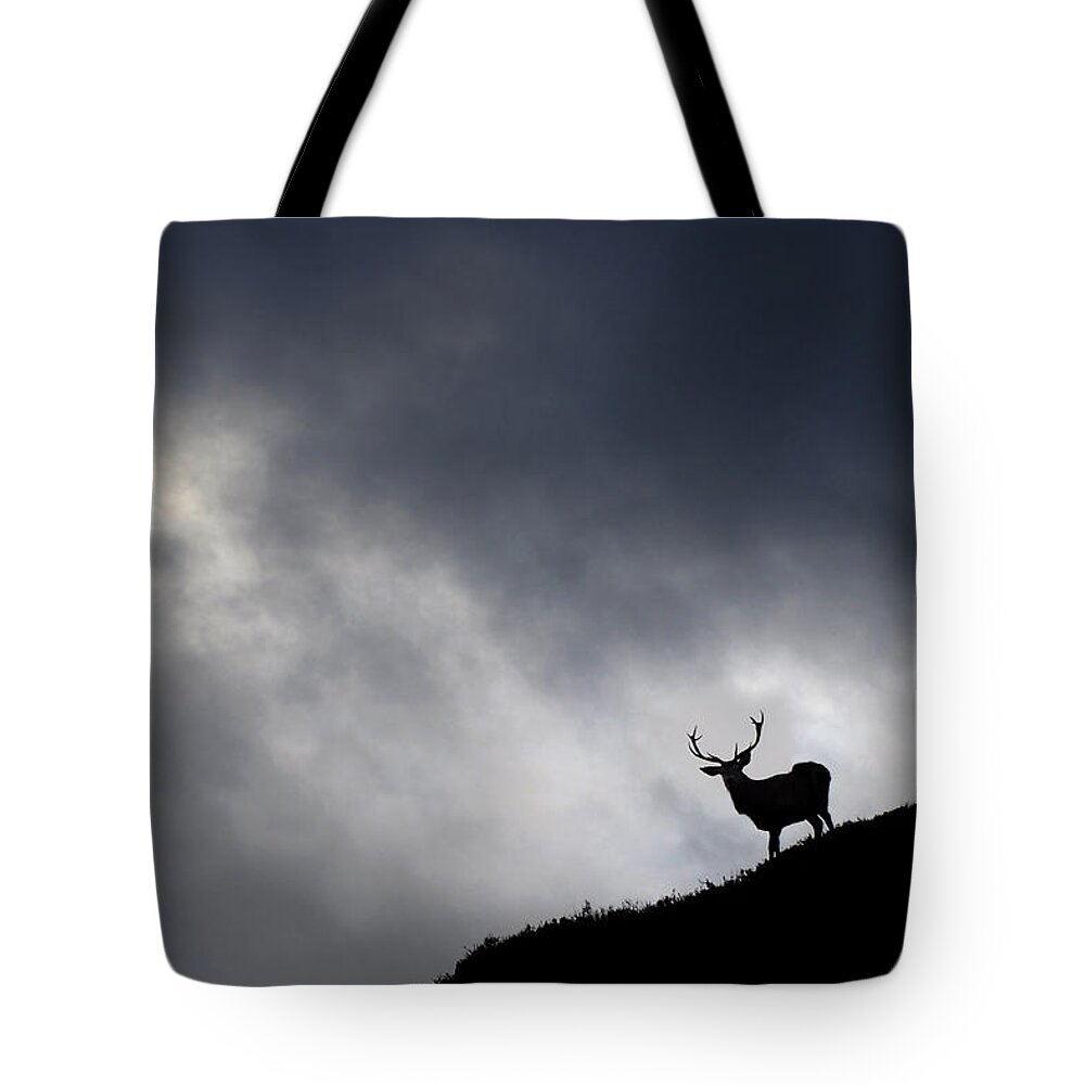Stag Tote Bag featuring the photograph Stag Silhouette #2 by Gavin Macrae