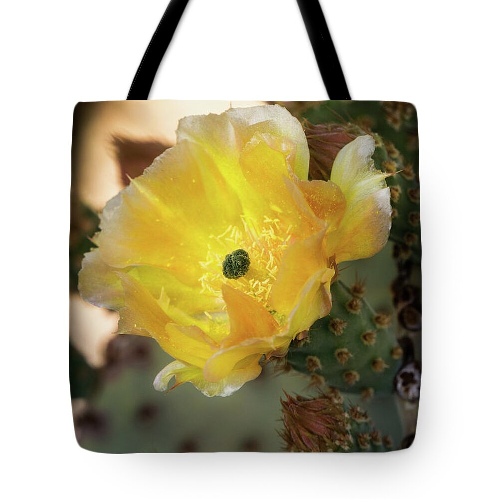 Golden Prickly Pear Cactus Tote Bag featuring the photograph A Golden Beauty #2 by Saija Lehtonen