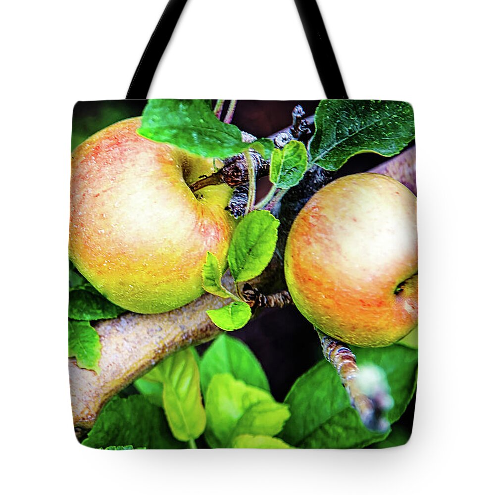 Apple Tote Bag featuring the photograph 2 Apples by Camille Lopez