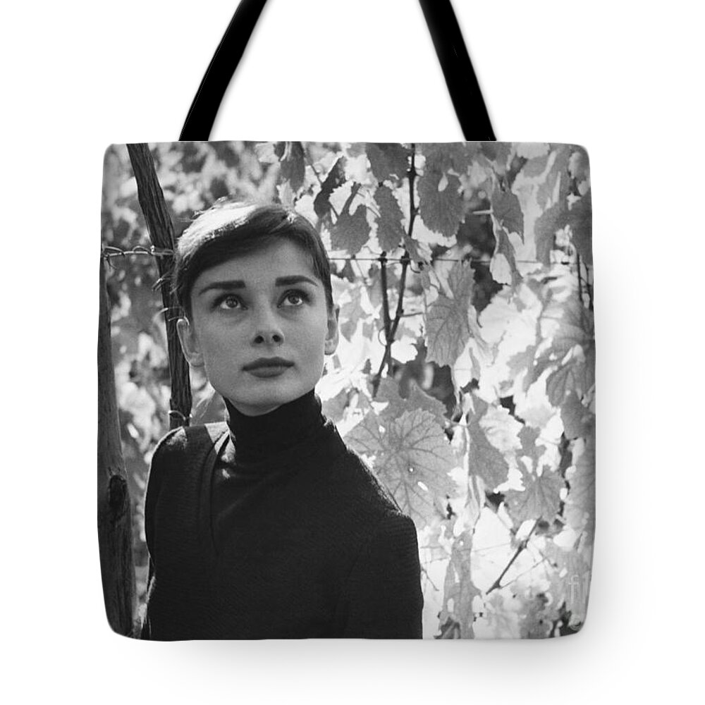 Audrey Hepburn Tote Bag by George Daniell - Science Source Prints