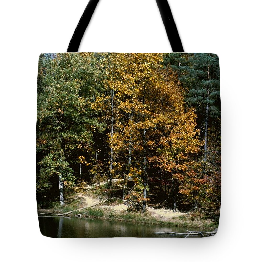 Autumn Leaves Tote Bag featuring the photograph Autumn Colors #2 by Gary Wonning