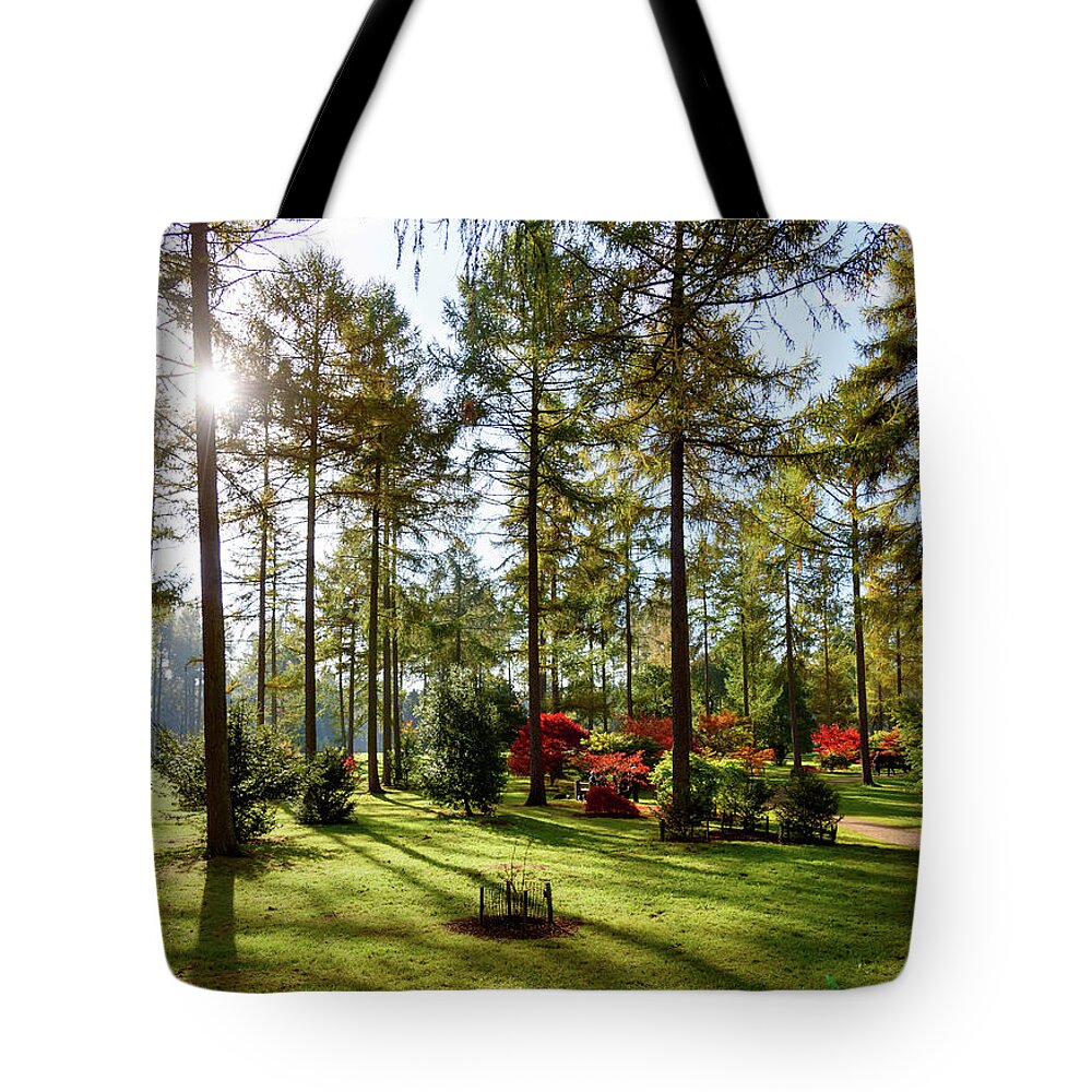 Autumn Tote Bag featuring the photograph Autumn in the park by Colin Rayner