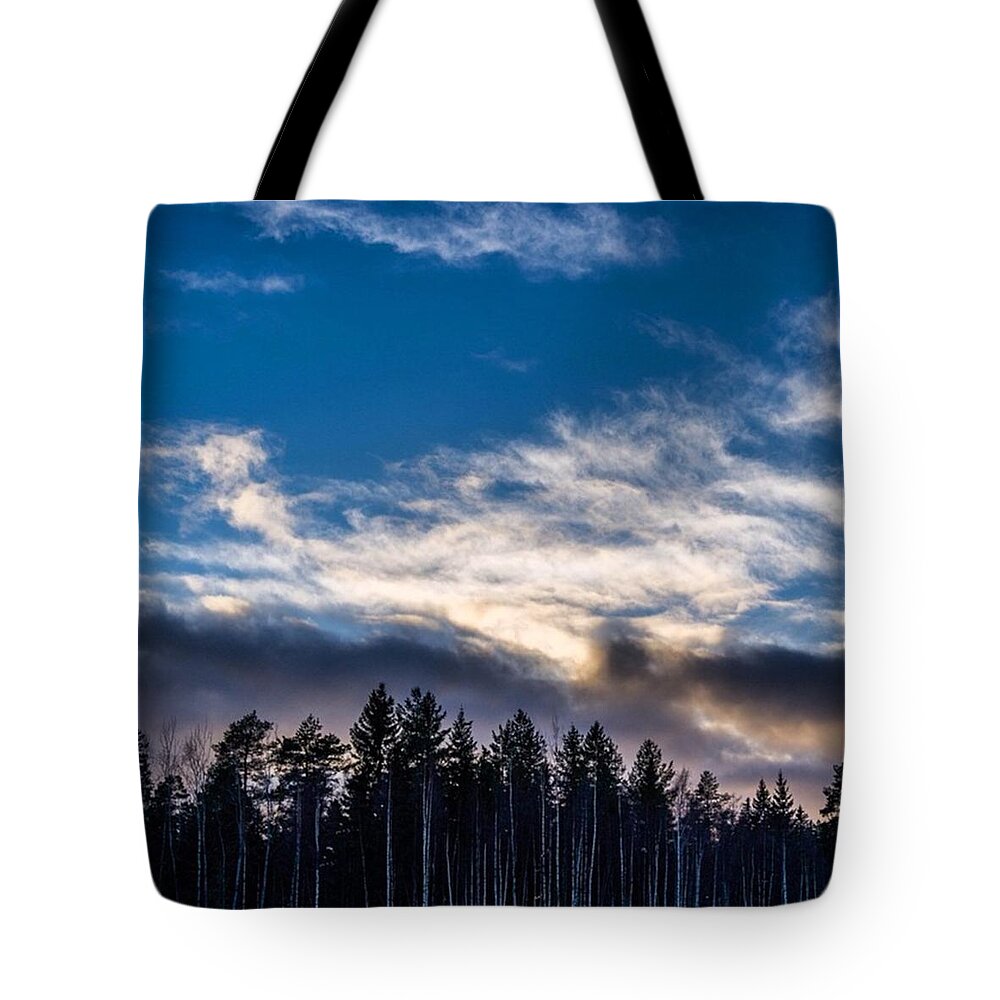  Tote Bag featuring the photograph Beauty #2 by Aleck Cartwright