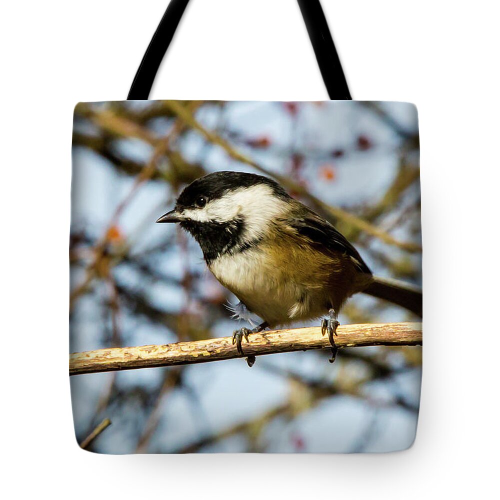 Bird Tote Bag featuring the digital art Black Capped Chickadee #3 by Birdly Canada