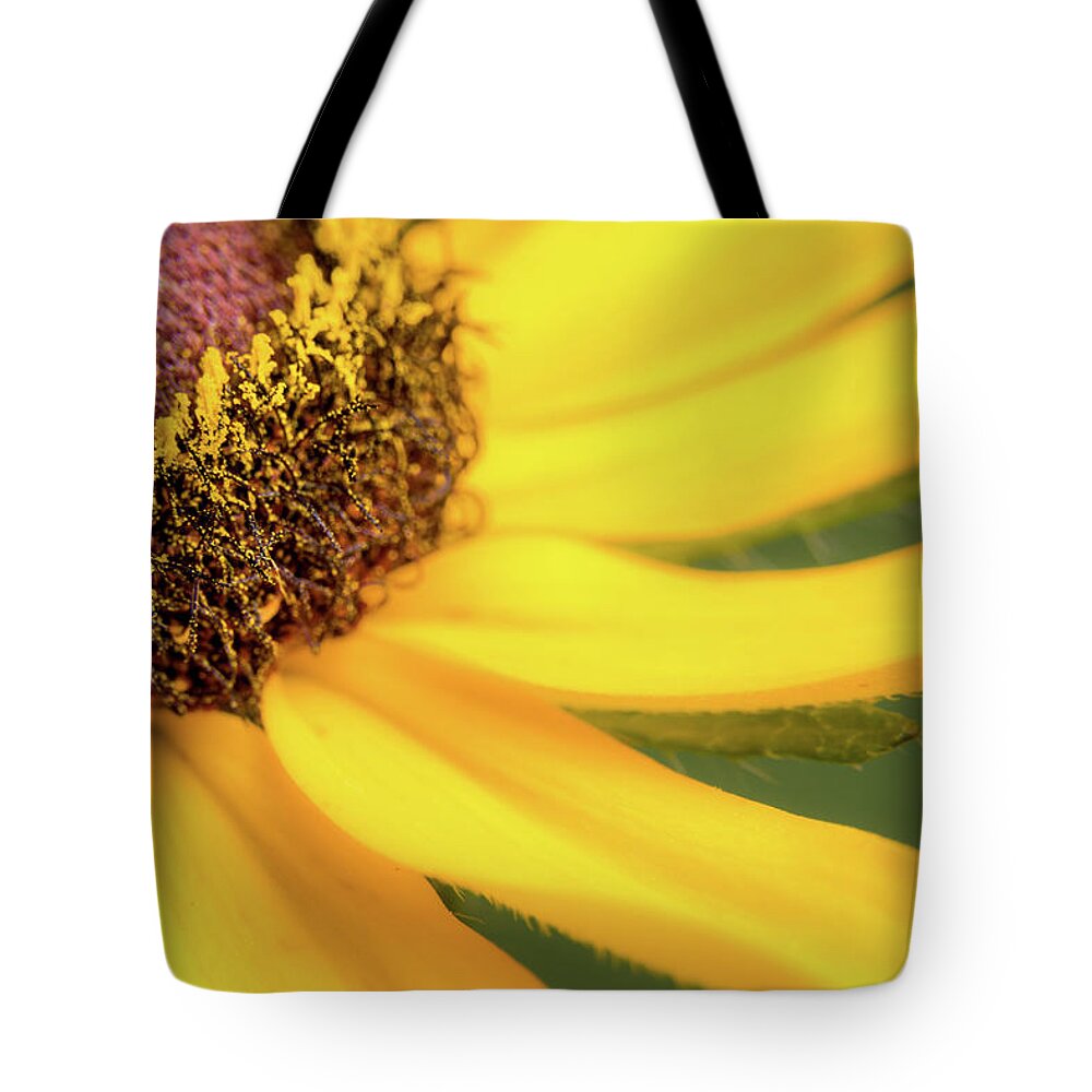 Black Eyed Susan Tote Bag featuring the photograph Black-Eyed Susan #2 by Ron Pate