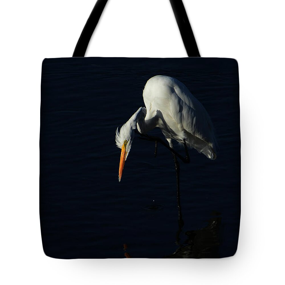 Great Egret Tote Bag featuring the photograph Black Velvet #2 by Fraida Gutovich