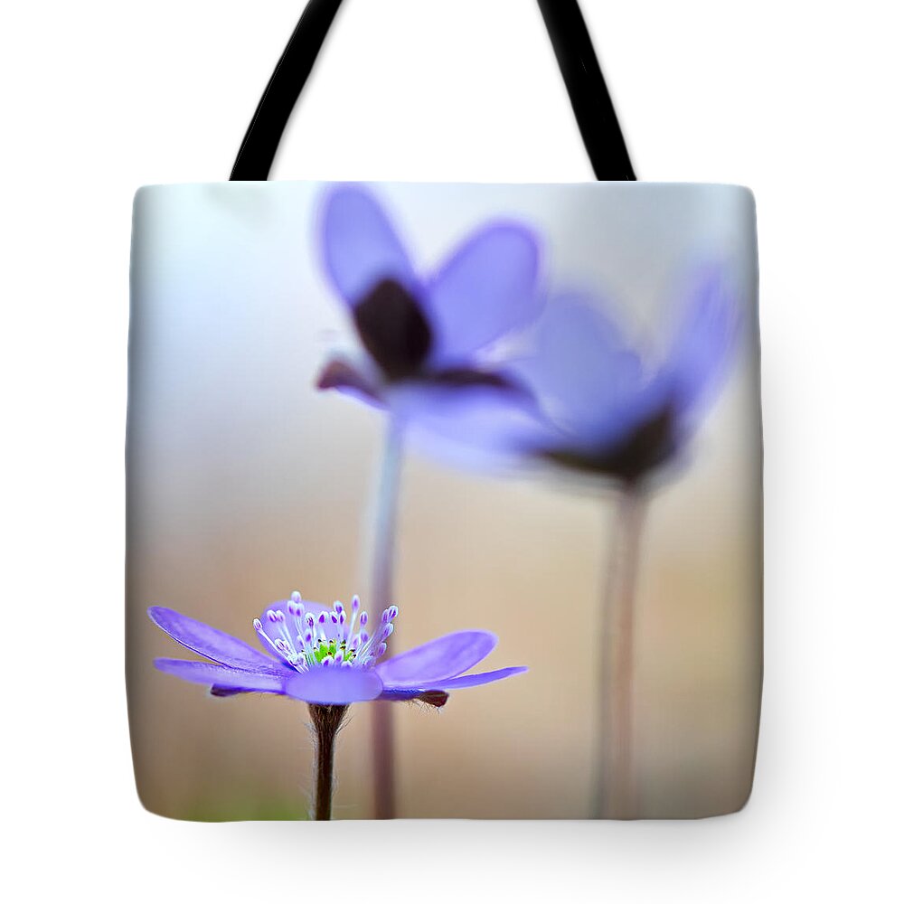 Abstract Tote Bag featuring the photograph Blue spring wild flower #2 by Dirk Ercken