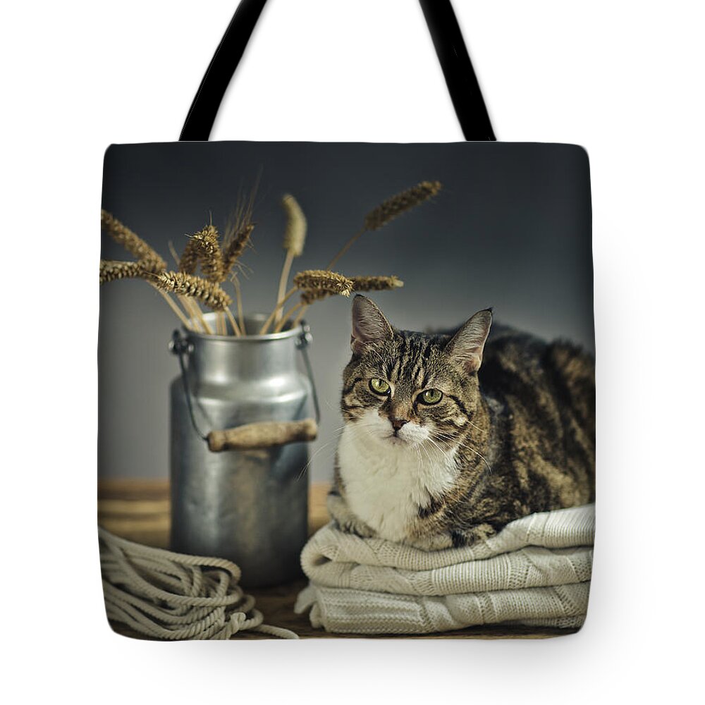 Cat Tote Bag featuring the photograph Cat Portrait by Nailia Schwarz