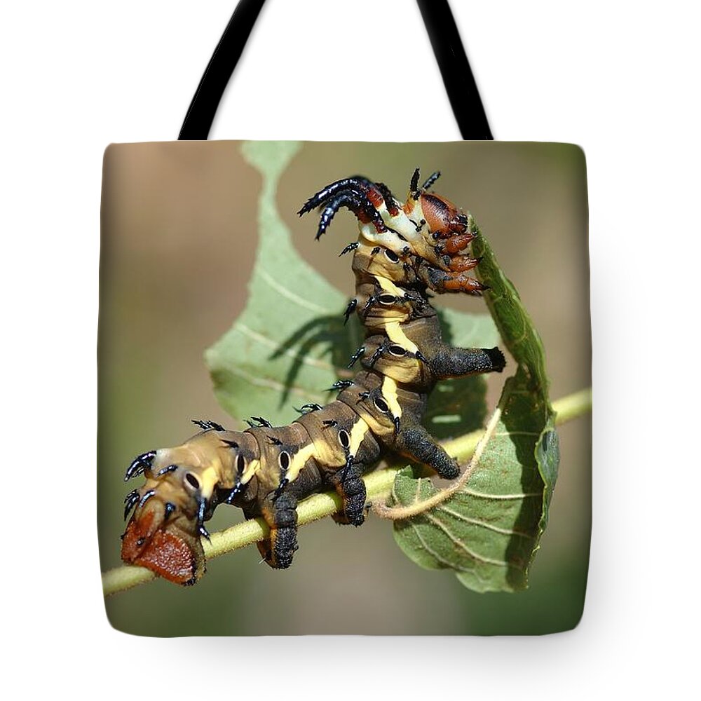 Caterpillar Tote Bag featuring the digital art Caterpillar #2 by Super Lovely