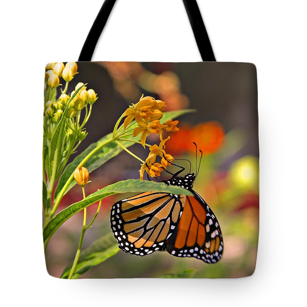  Tote Bag featuring the photograph Clinging Butterfly #2 by Matalyn Gardner