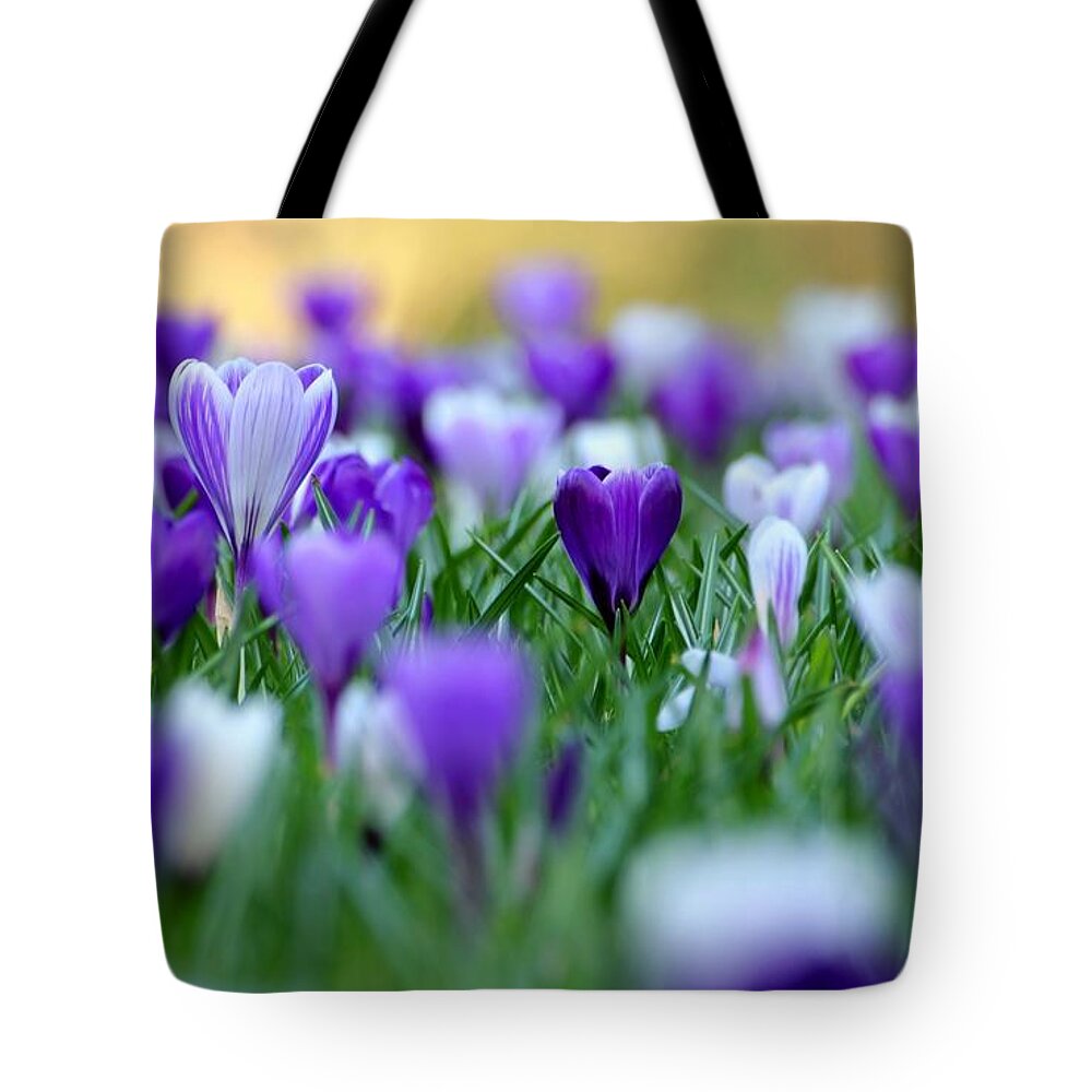 Crocus Tote Bag featuring the photograph Crocus #2 by Jackie Russo