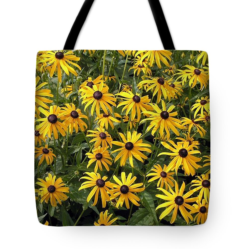 Daisy Tote Bag featuring the photograph Daisy #2 by Jackie Russo