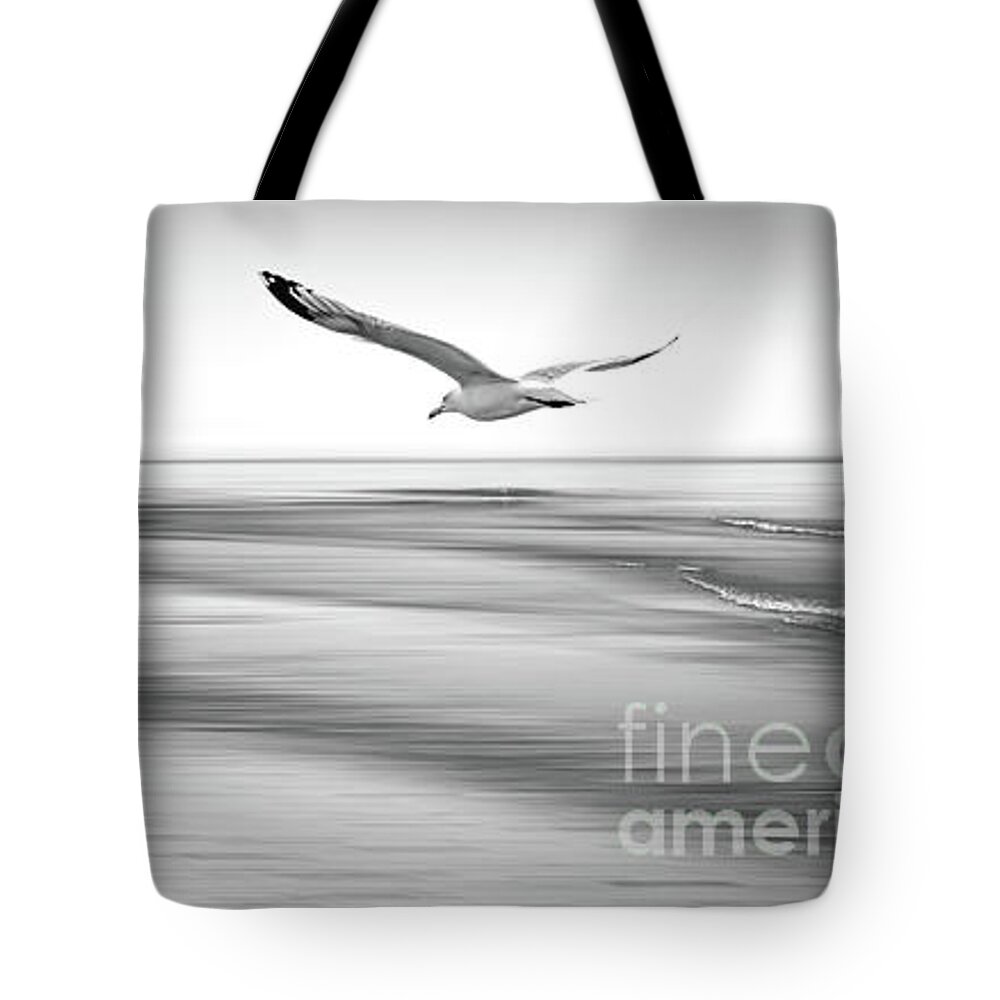 Beach Tote Bag featuring the photograph Desire Light Bw by Hannes Cmarits