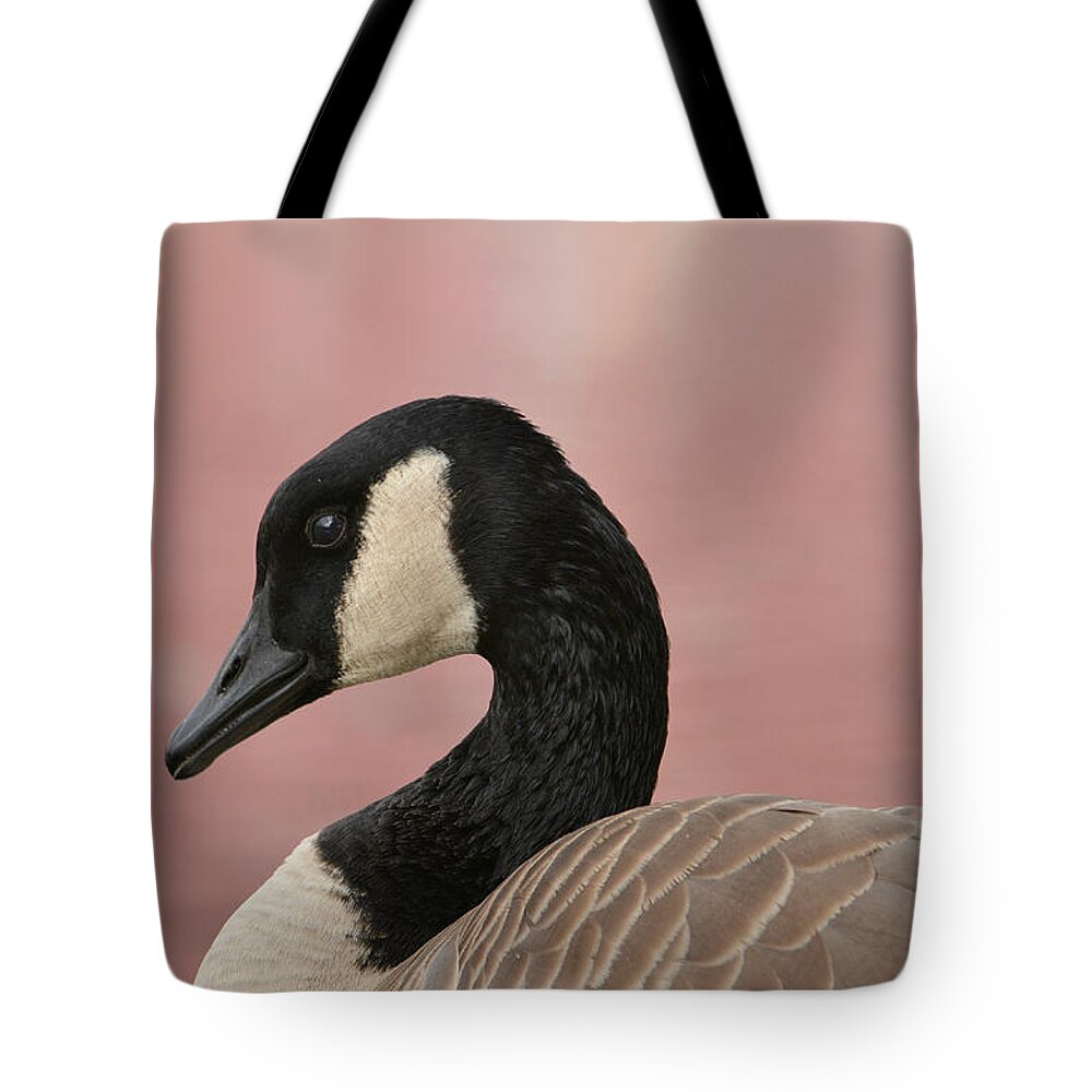 Canada Geese Tote Bag featuring the photograph Dignified #2 by Fraida Gutovich
