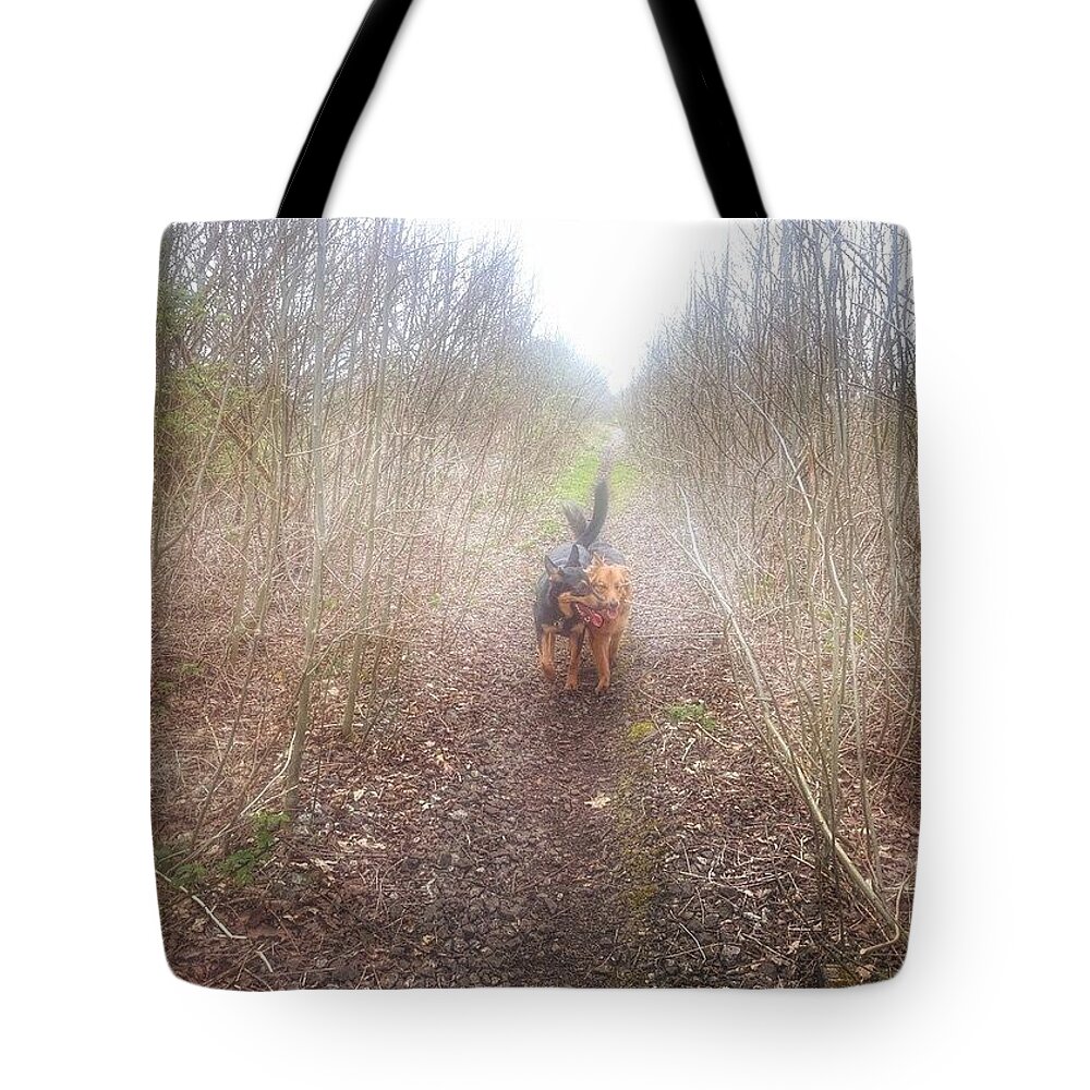 Petstagram Tote Bag featuring the photograph #dogs #gsd #germanshepherd #2 by Abbie Shores