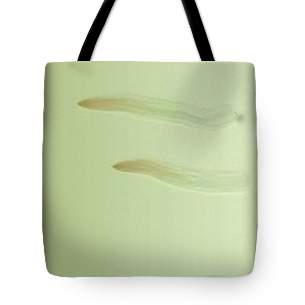 Double Sign Tote Bag featuring the painting Double Sign #2 by Archangelus Gallery