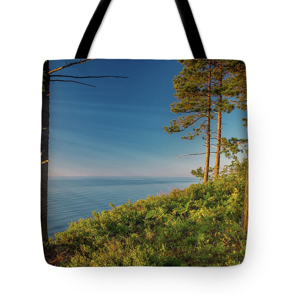 Beaver Creek Tote Bag featuring the photograph Evening Light #2 by Gary McCormick