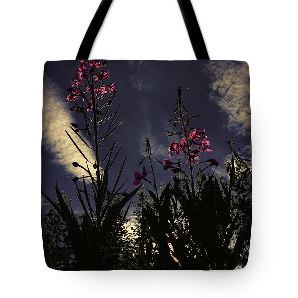 Alaska Tote Bag featuring the photograph Fireweed #2 by Fred Denner