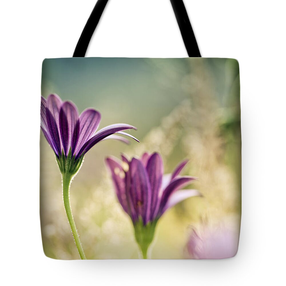 Flower Tote Bag featuring the photograph Flower on Summer Meadow #2 by Nailia Schwarz