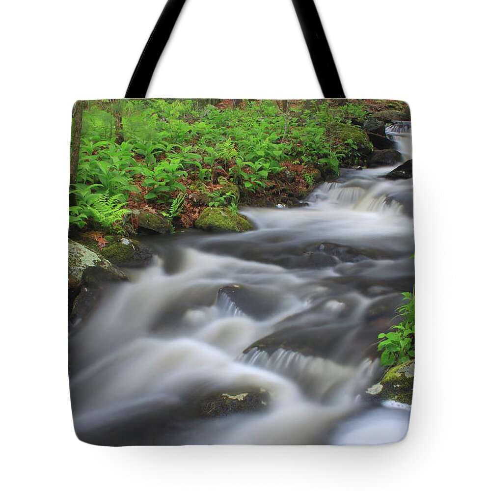 Roaring Brook Tote Bag featuring the photograph Forest Stream in Spring #2 by John Burk