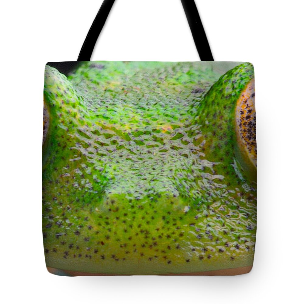 Amazon Rain Forest Tote Bag featuring the photograph Glass Frog Eyes #2 by Dirk Ercken