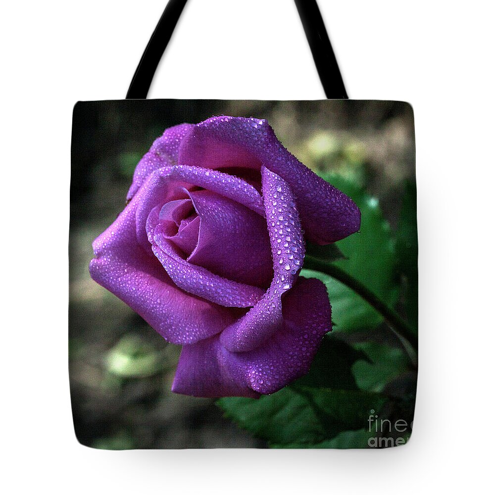 Purple Tote Bag featuring the photograph Gleaming #1 by Doug Norkum