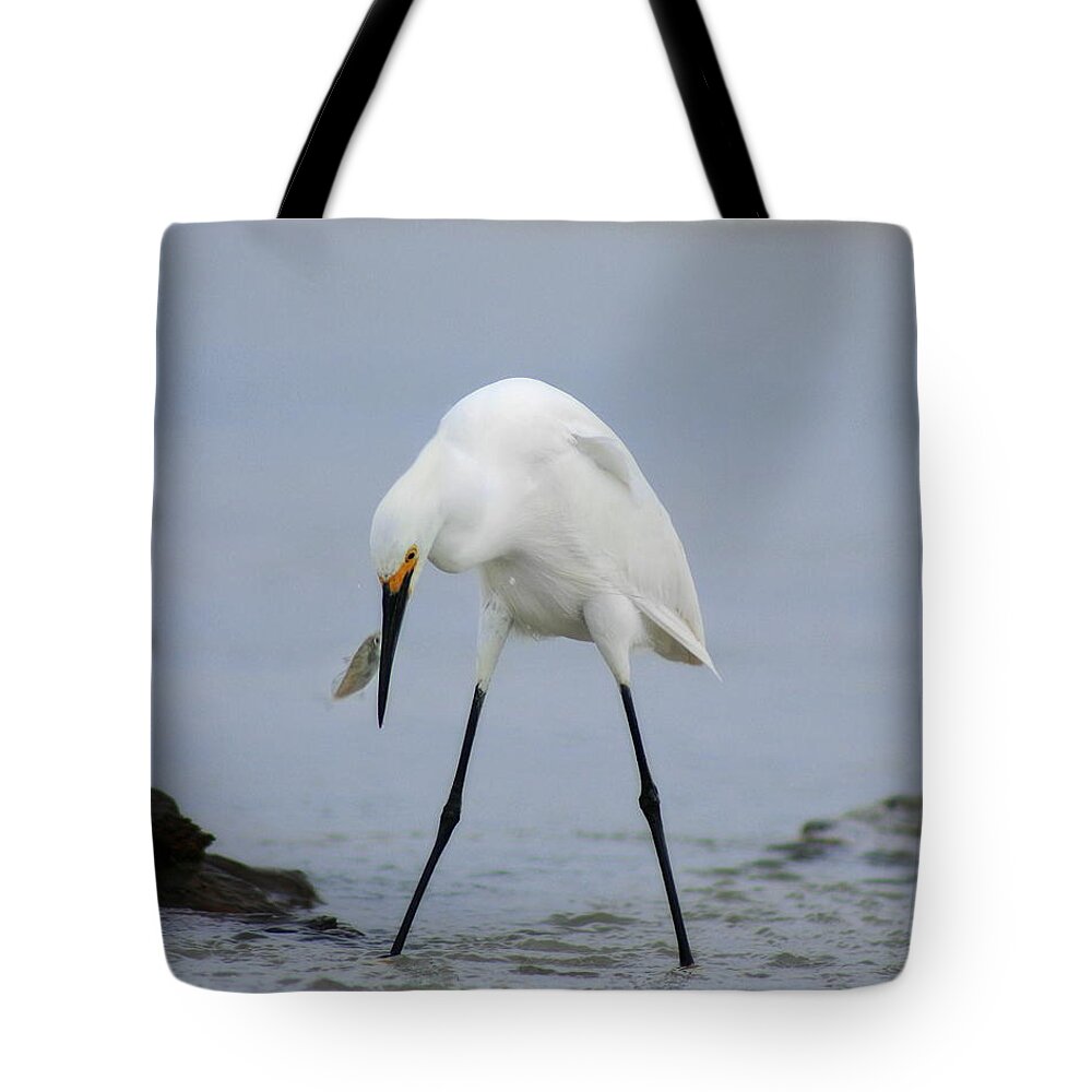 Tote Bag featuring the photograph Got One #2 by Angela Rath